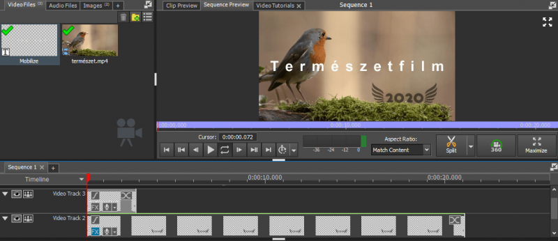 Hogyan kell videót készíteni, vágni? Egy részletes útmutató!